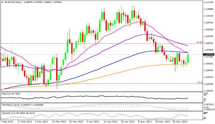 Daily Forex Guide