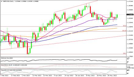 Daily Forex Guide