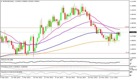 Daily Forex Guide