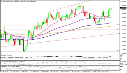 Daily Forex Guide