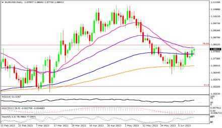 Daily Forex Guide