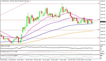 Daily Forex Guide