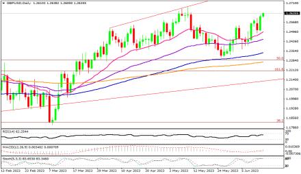 Daily Forex Guide