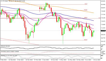 Daily Forex Guide