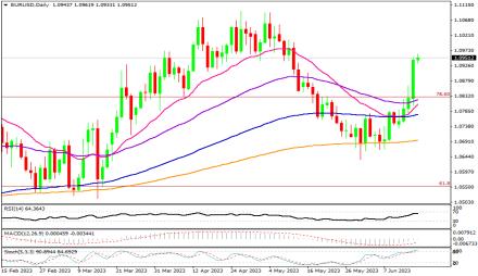 Daily Forex Guide