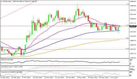 Daily Forex Guide