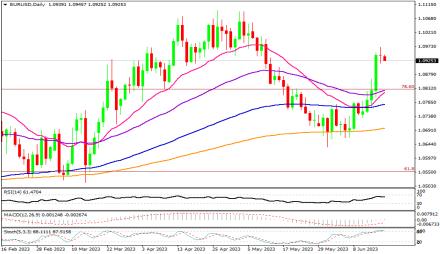 Daily Forex Guide