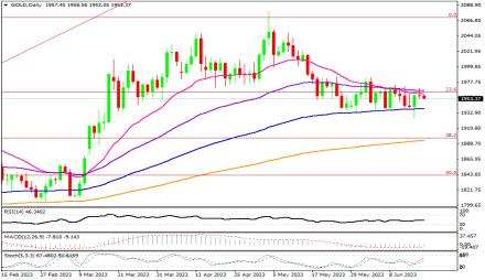 Daily Forex Guide