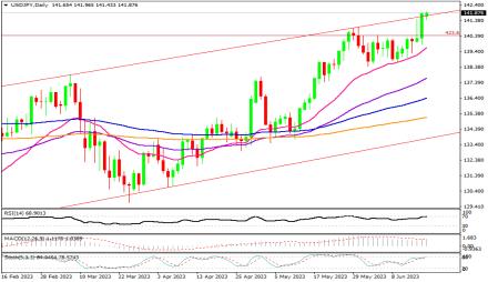 Daily Forex Guide