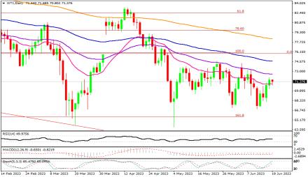 Daily Forex Guide