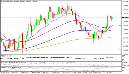 Daily Forex Guide