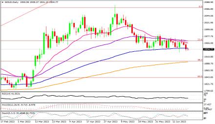 Daily Forex Guide