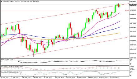 Daily Forex Guide