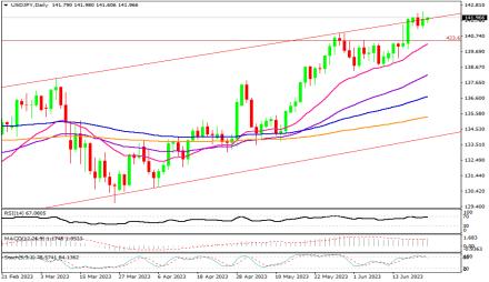 Daily Forex Guide