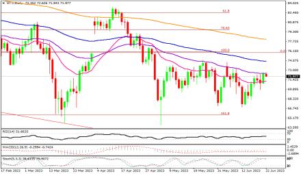 Daily Forex Guide