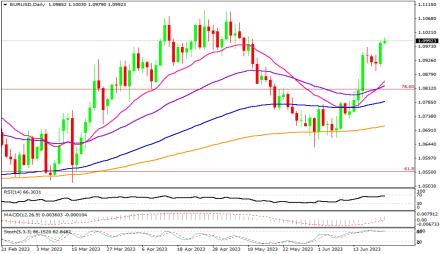 Daily Forex Guide