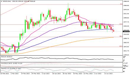 Daily Forex Guide