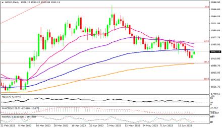 Daily Forex Guide