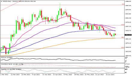 Daily Forex Guide