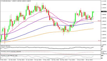 Daily Forex Guide