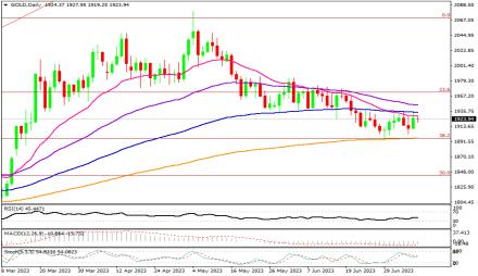 Daily Forex Guide