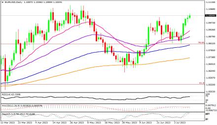 Daily Forex Guide