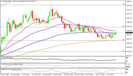 Daily Forex Guide