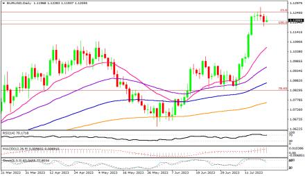 Daily Forex Guide