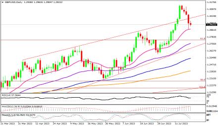 Daily Forex Guide