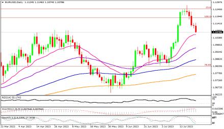 Daily Forex Guide