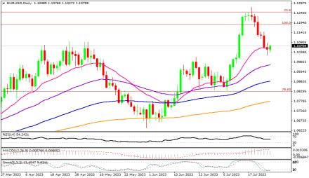 Daily Forex Guide