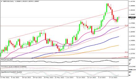 Daily Forex Guide