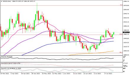 Daily Forex Guide