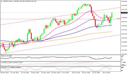 Daily Forex Guide