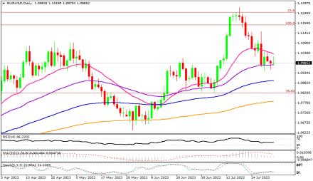 Daily Forex Guide