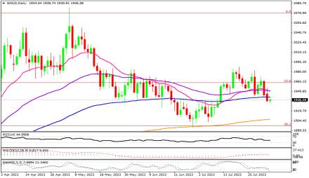 Daily Forex Guide