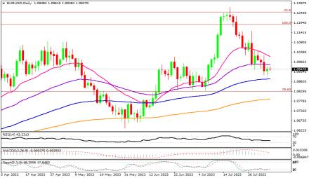 Daily Forex Guide