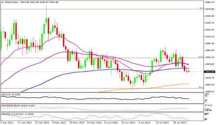 Daily Forex Guide