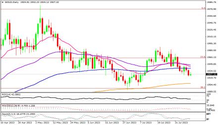 Daily Forex Guide