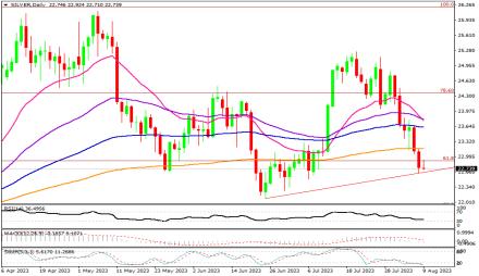 Daily Forex Guide