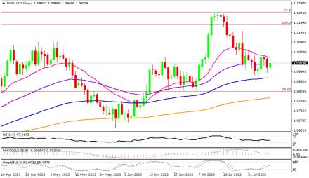 Daily Forex Guide