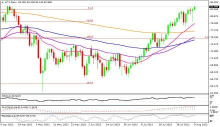 Daily Forex Guide