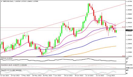 Daily Forex Guide