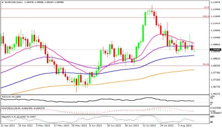 Daily Forex Guide