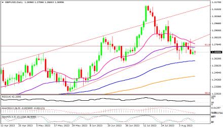 Daily Forex Guide