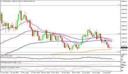 Daily Forex Guide