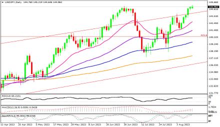 Daily Forex Guide