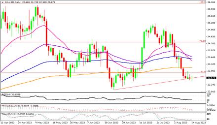 Daily Forex Guide