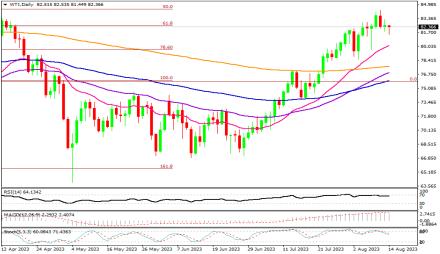 Daily Forex Guide