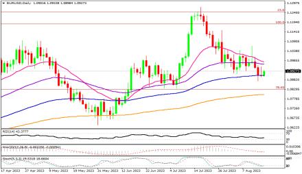 Daily Forex Guide